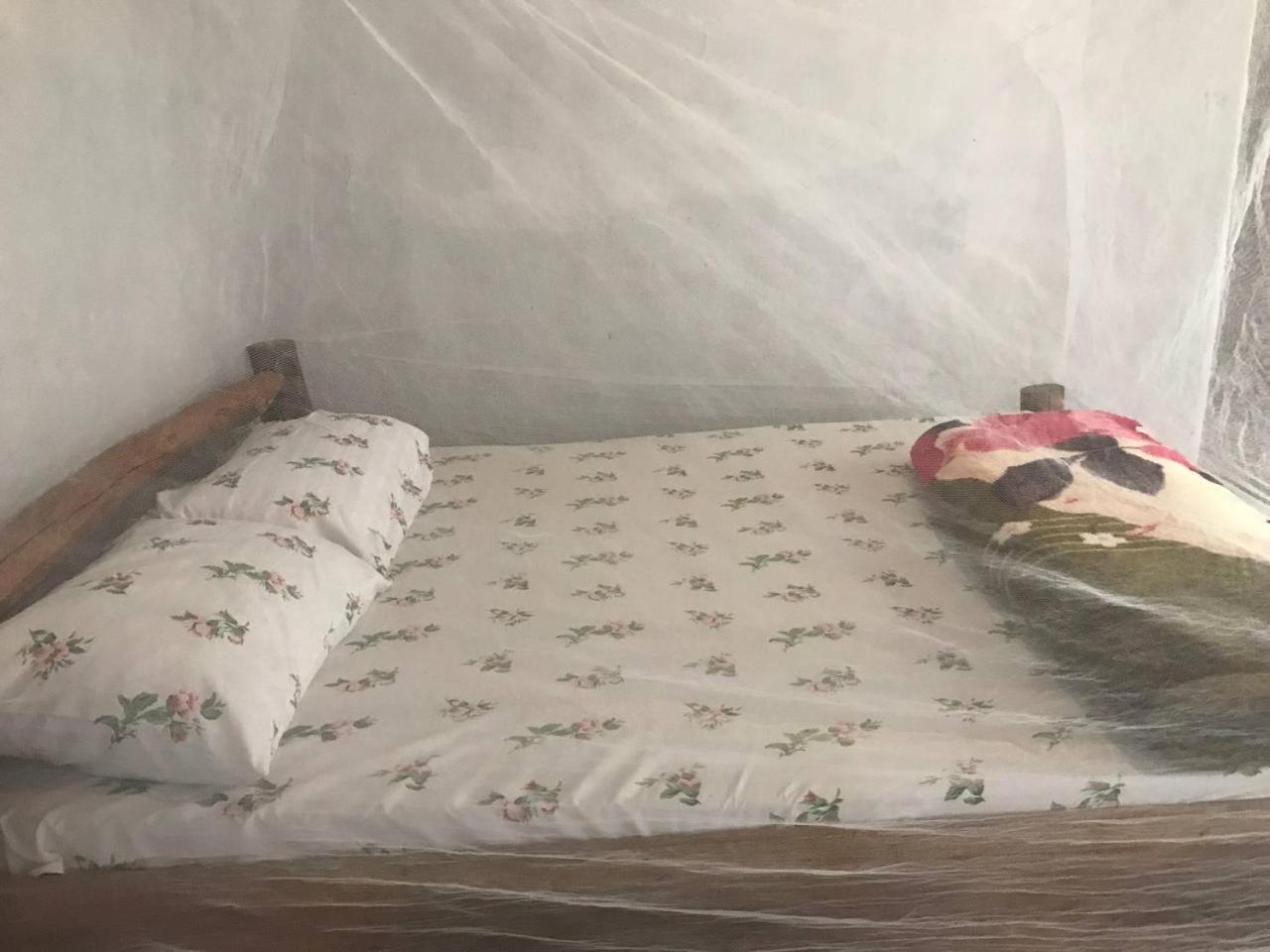 דירות Kapchorwa Sipi Backpackers חדר תמונה